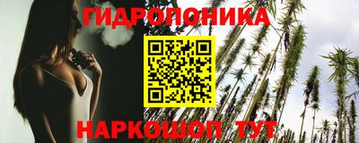 герыч Кингисепп