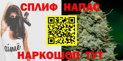 спайс Кинель
