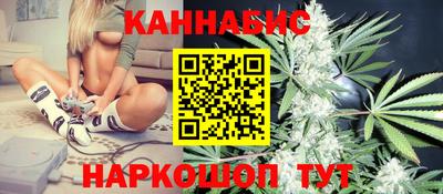 герыч Кингисепп