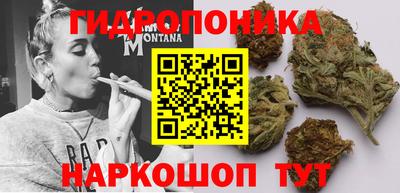 герыч Кингисепп