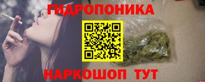 герыч Кингисепп