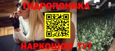 спайс Кинель