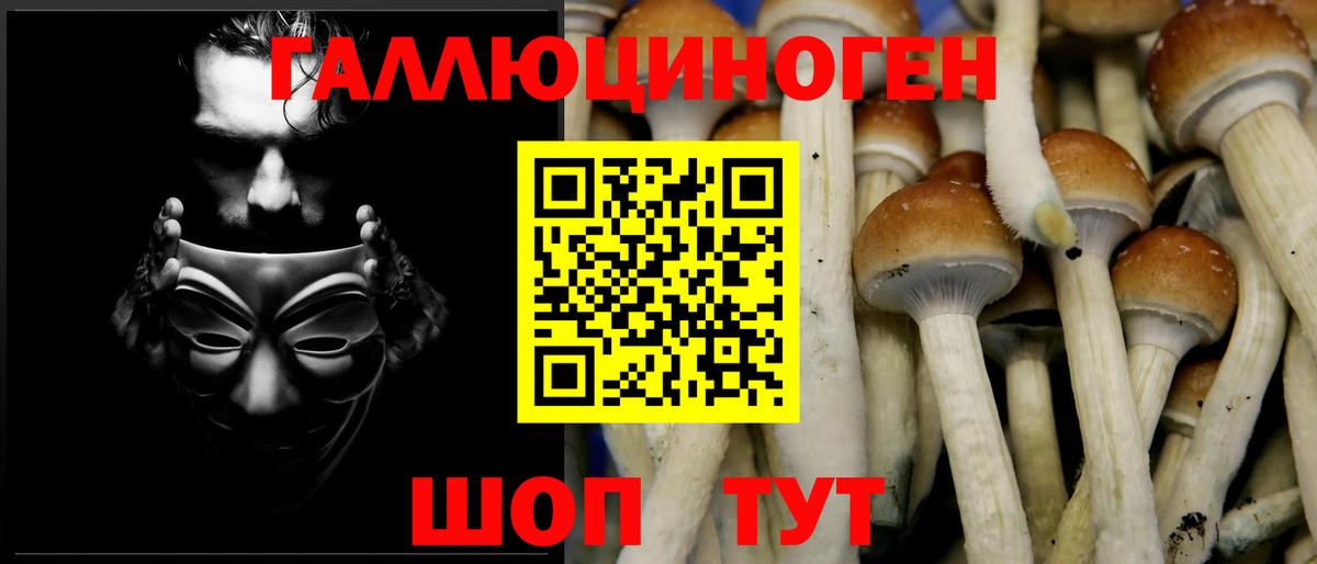 Екатеринбург  Галлюциногенные грибы Cubensis  Вход с VPN  Псилоцибиновые грибы Magic Shrooms 